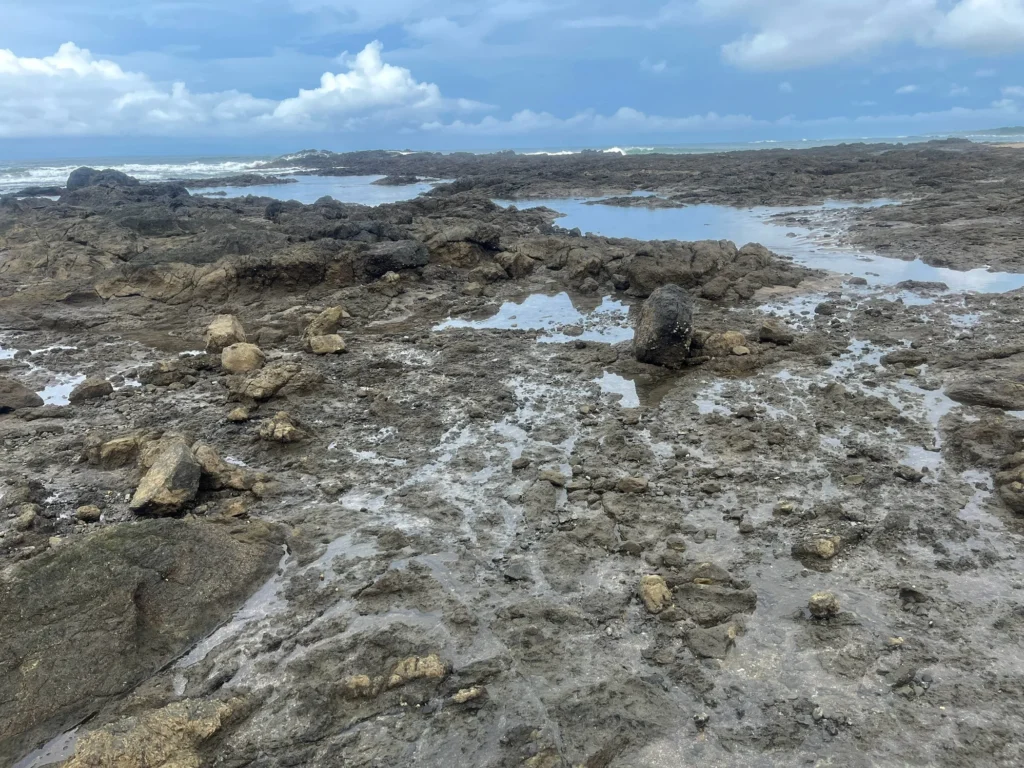 Tide pools at Playa Junquillal