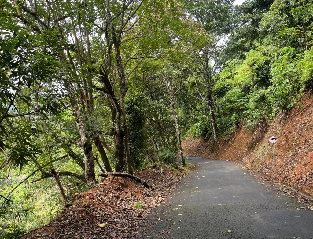 Road leading down to Nauyaca waterfalls parking lot