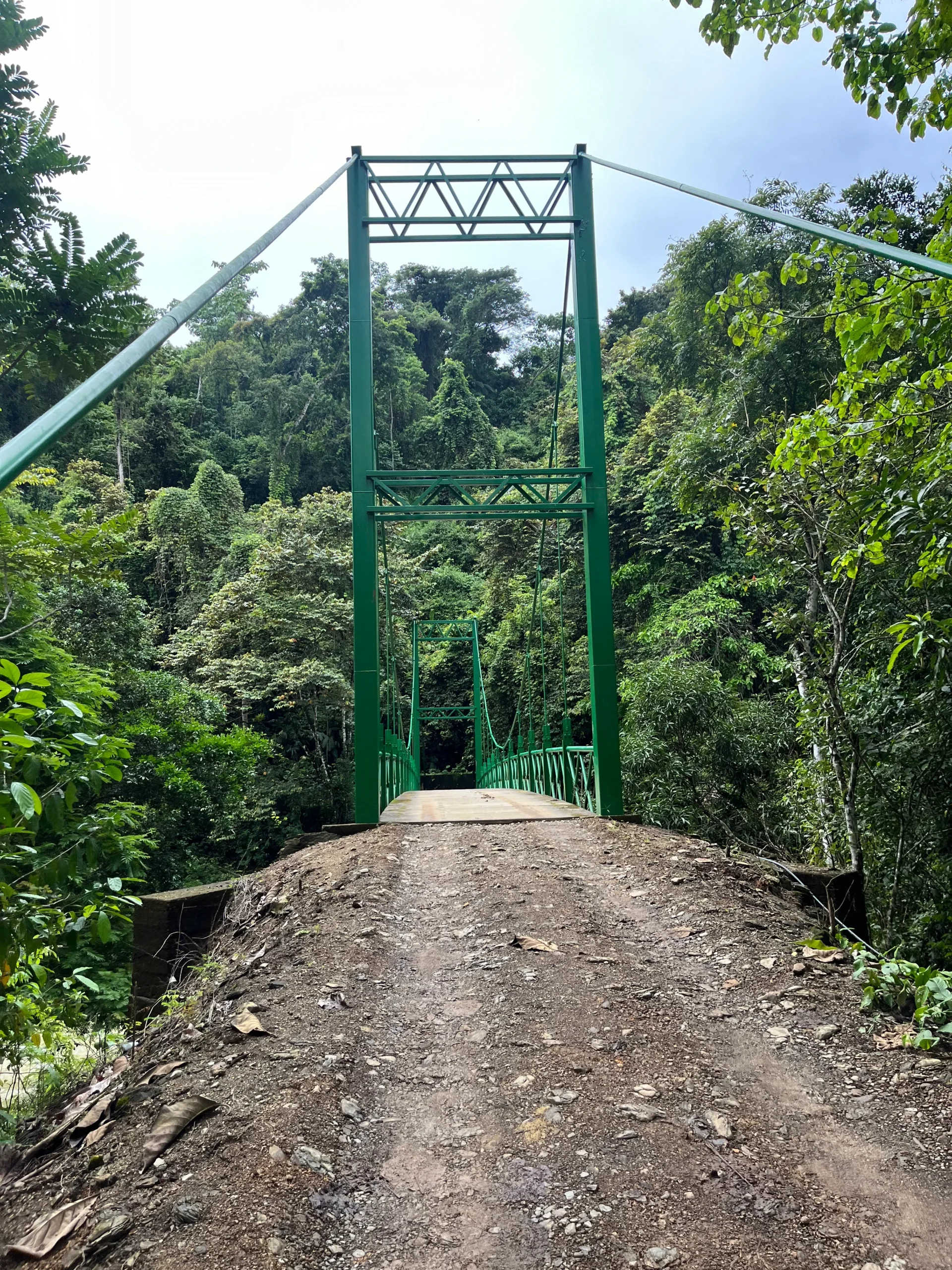 Nauyaca Waterfall bridge