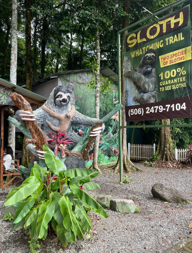 Sloth Watching Trail, La Fortuna