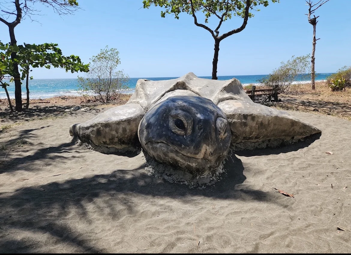 Verdiazul Turtle Hatchery, Junquillal