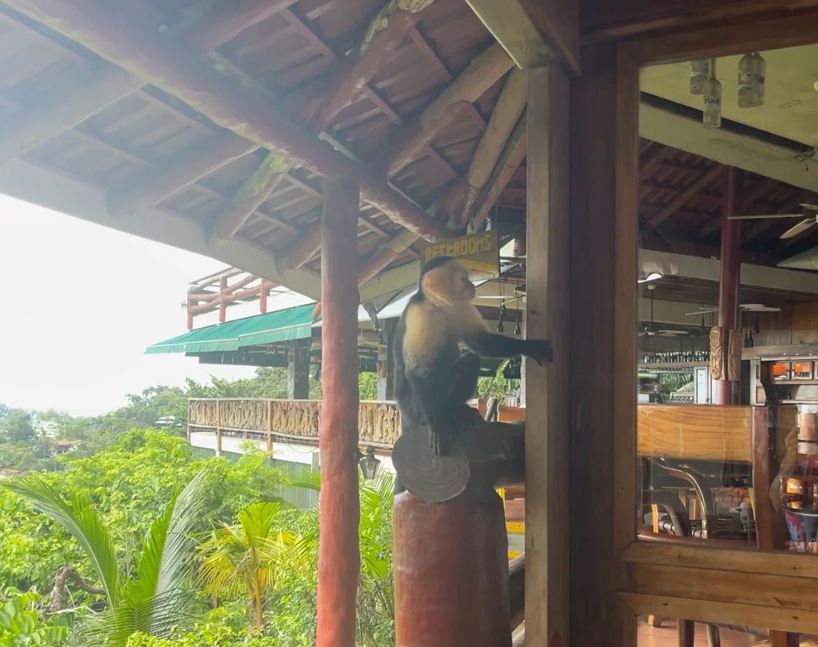 El Avion Restaurant, Manuel Antonio