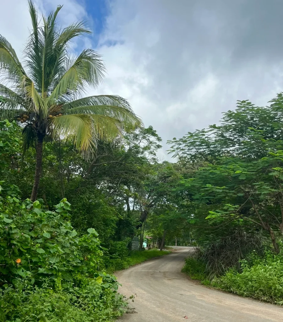 Playa Junquillal