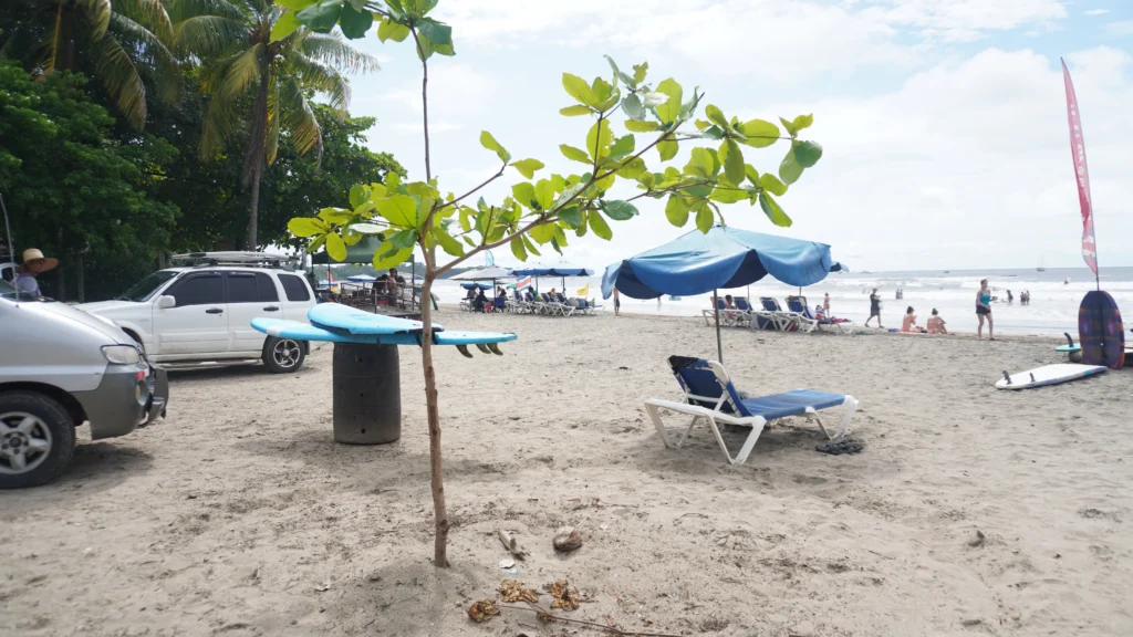 Tamarindo Costa Rica