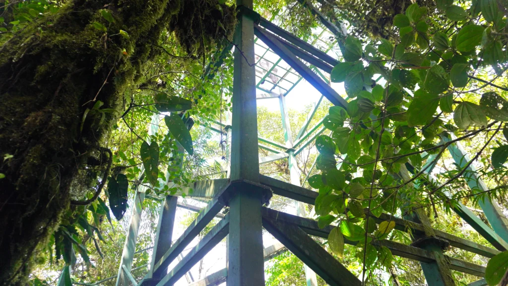 Observation tower at Santa Elena Cloud Forest Reserve