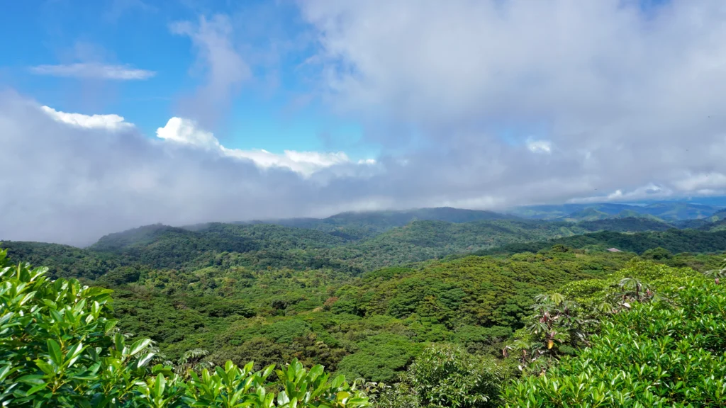 Observation tower at Santa Elena Cloud Forest Reserve