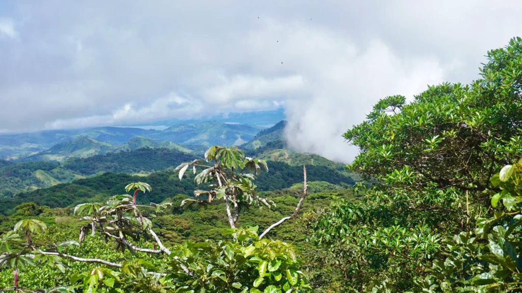 Santa Elena Cloud Forest Reserve, Monteverde