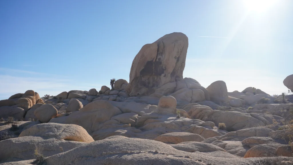 Arch Rock Nature Trail, Joshua Tree