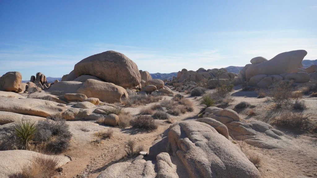 Arch Rock Nature Trail, Joshua Tree National Park