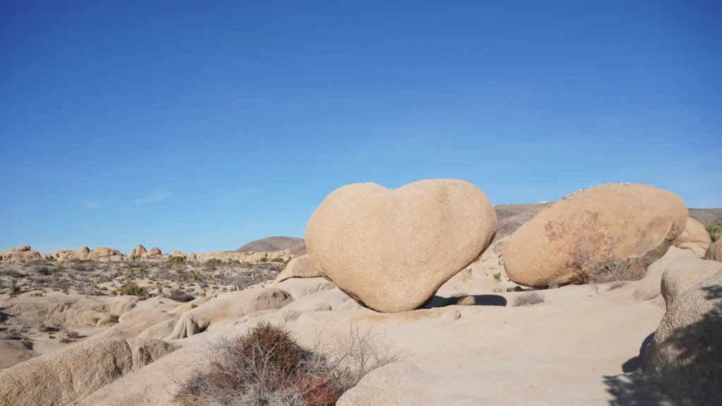 Love Rock, Joshua Tree