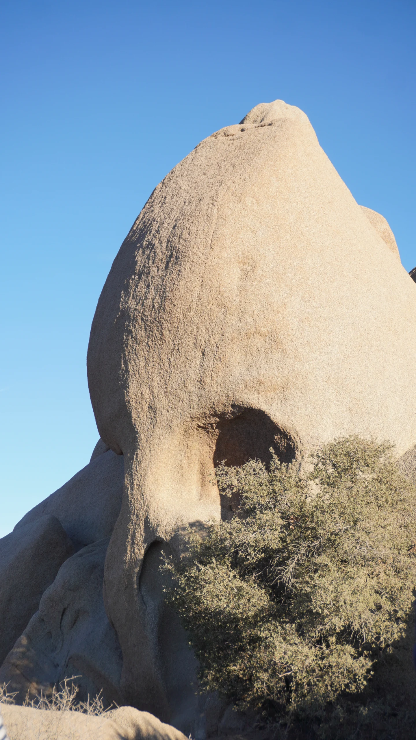 Skull Rock, Joshua Tree National Park