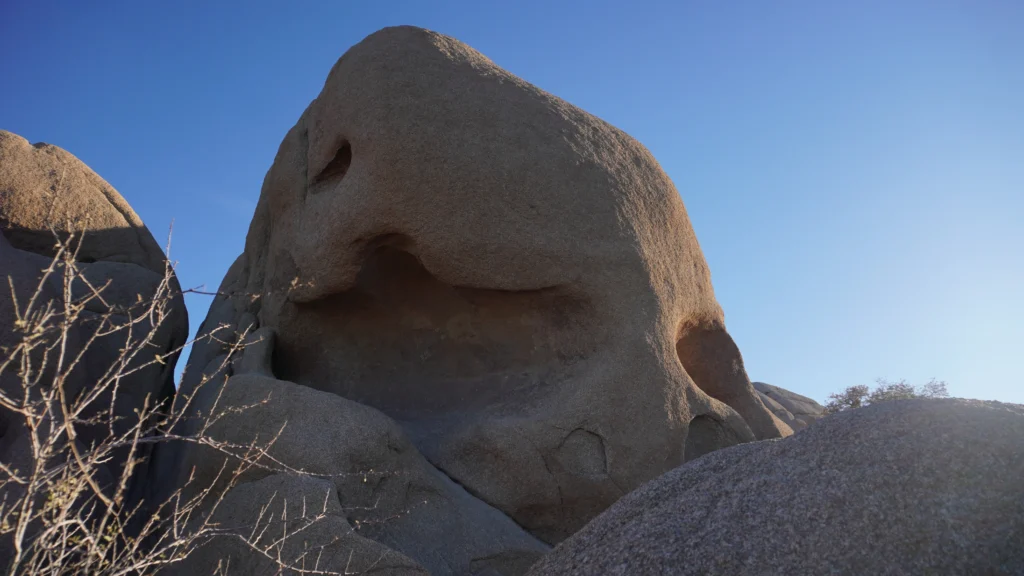 Discovery Trail, Joshua Tree