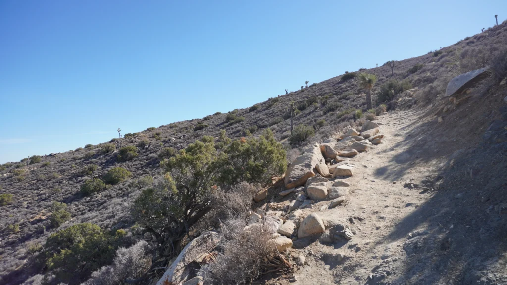 Ryan Mountain Trail, Joshua Tree National Park