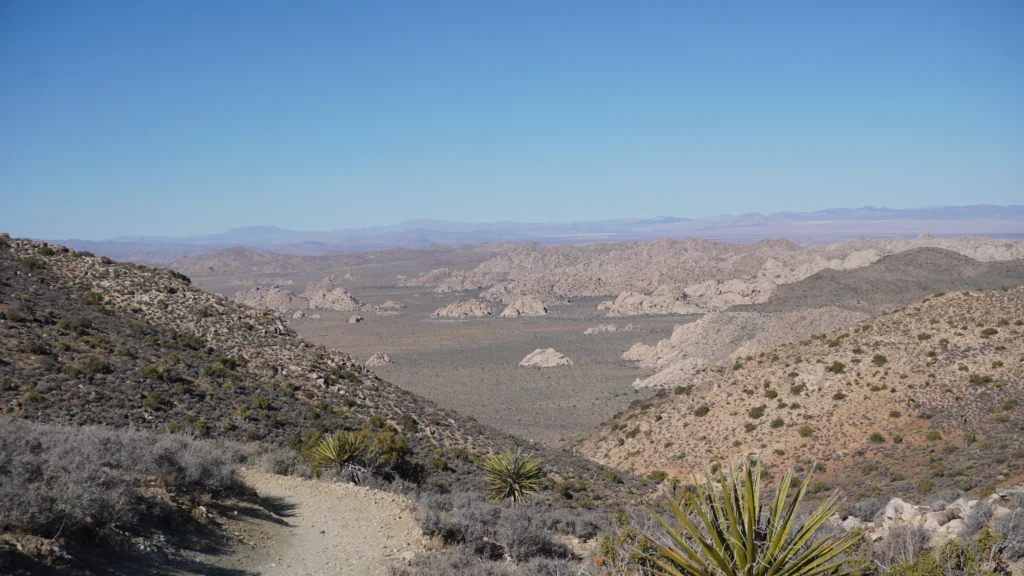 Ryan Mountain Trail, Joshua Tree National Park