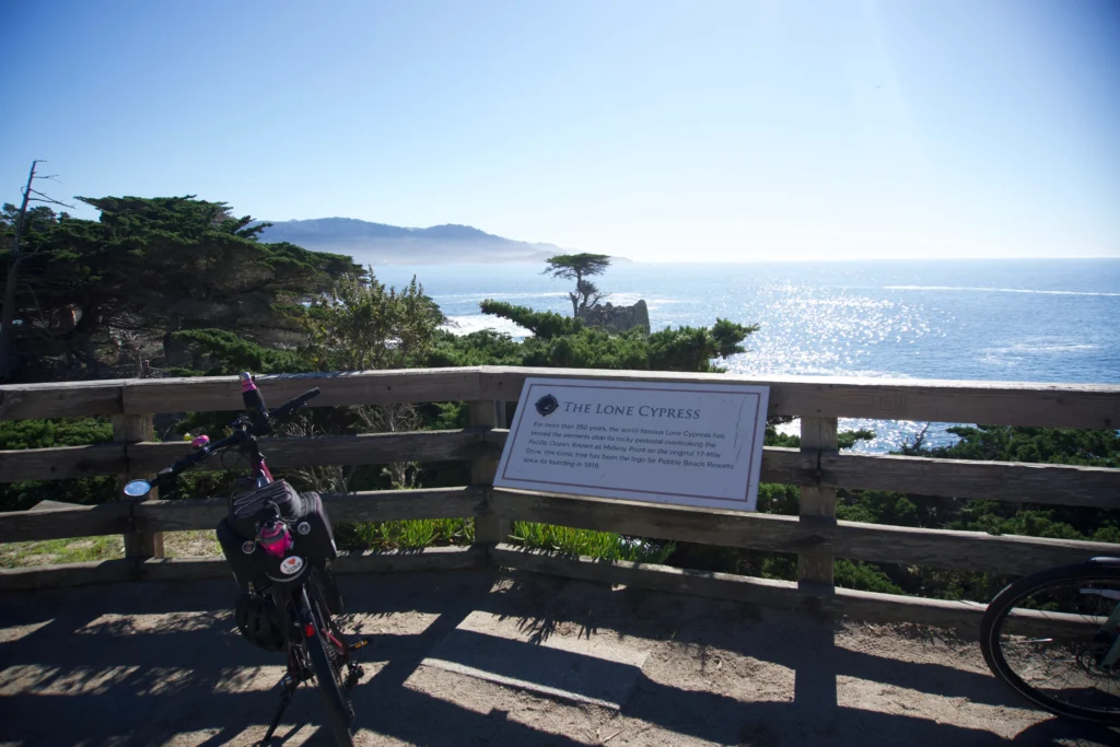 Lone Cypress Lookout, 17 Mile Drive