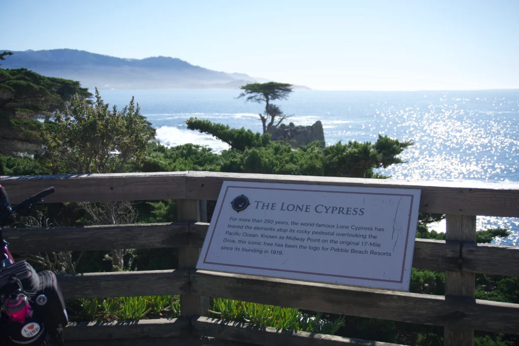 Lone Cypress Tree, 17 Mile Drive