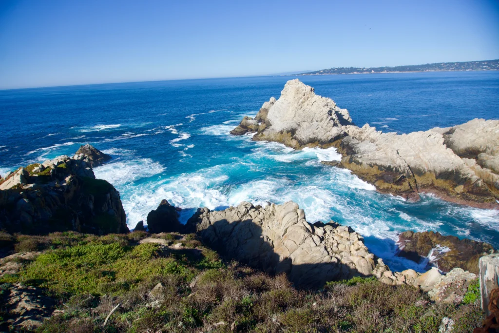 Cypress Grove Trail, Point Lobos State Nature Reserve