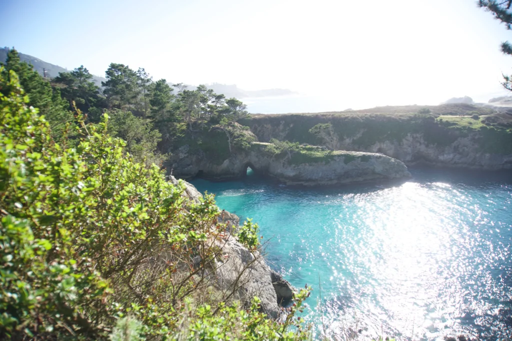 Bird Island Trail, Point Lobos State Nature Reserve