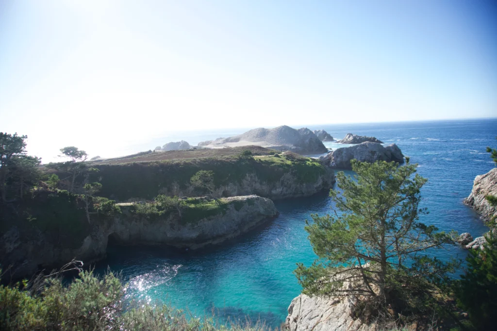 Bird Island Trail, Point Lobos State Nature Reserve