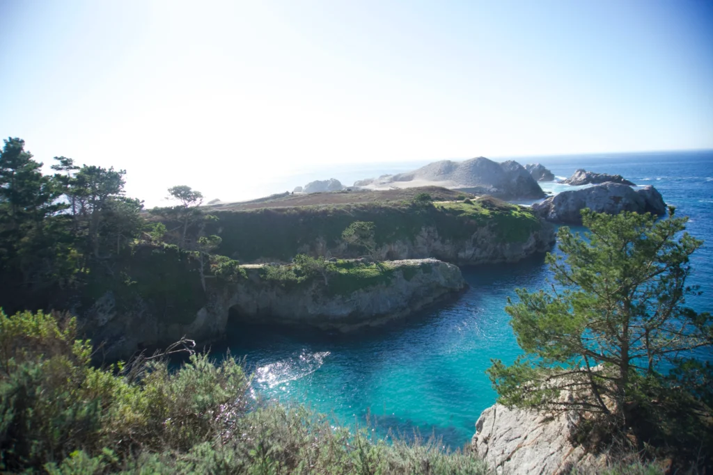 Bird Island Trail, Point Lobos State Nature Reserve