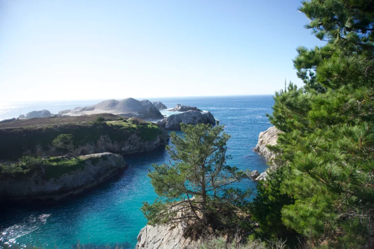 Bird Island Trail, Point Lobos