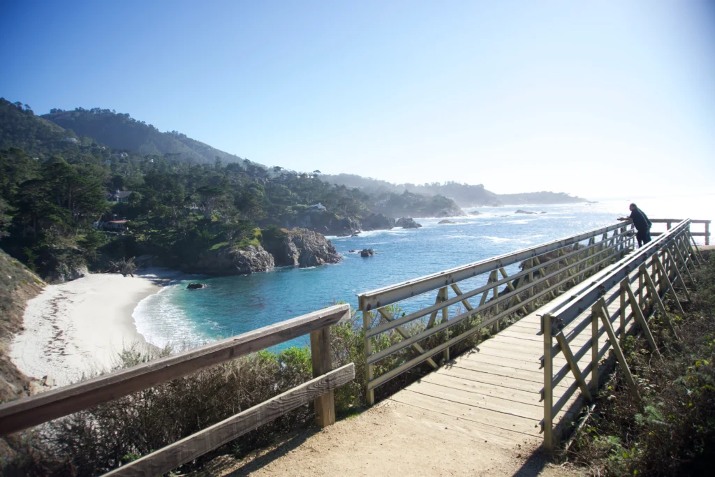 Bird Island Trail, Point Lobos State Nature Reserve