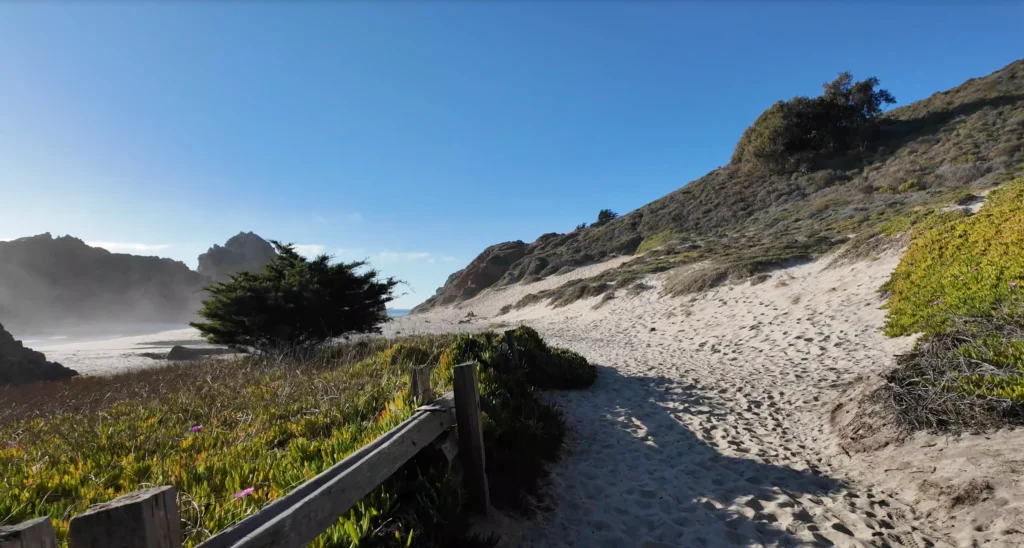 Pfeiffer Beach