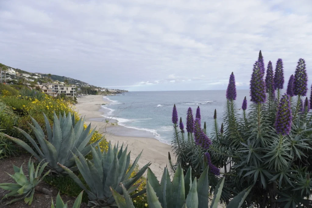 Treasure Island, Laguna Beach