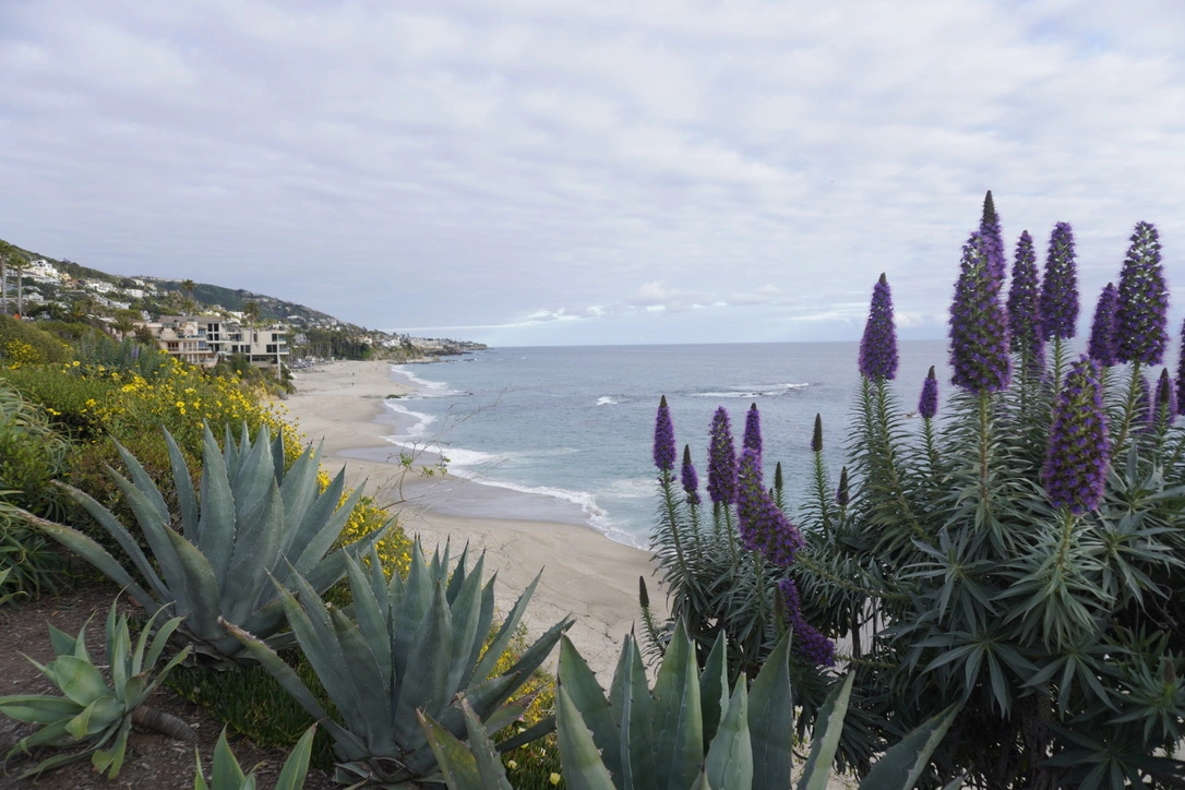 Treasure Island, Laguna Beach