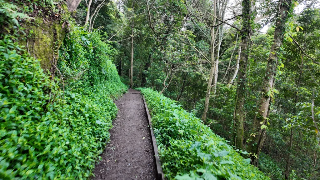 Trail to the Moorish Castle, Sintra Portugal