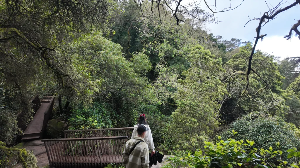 Trail to the Moorish Castle, Sintra Portugal