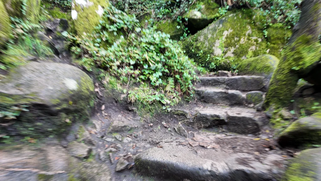 Trail to the Moorish Castle, Sintra Portugal
