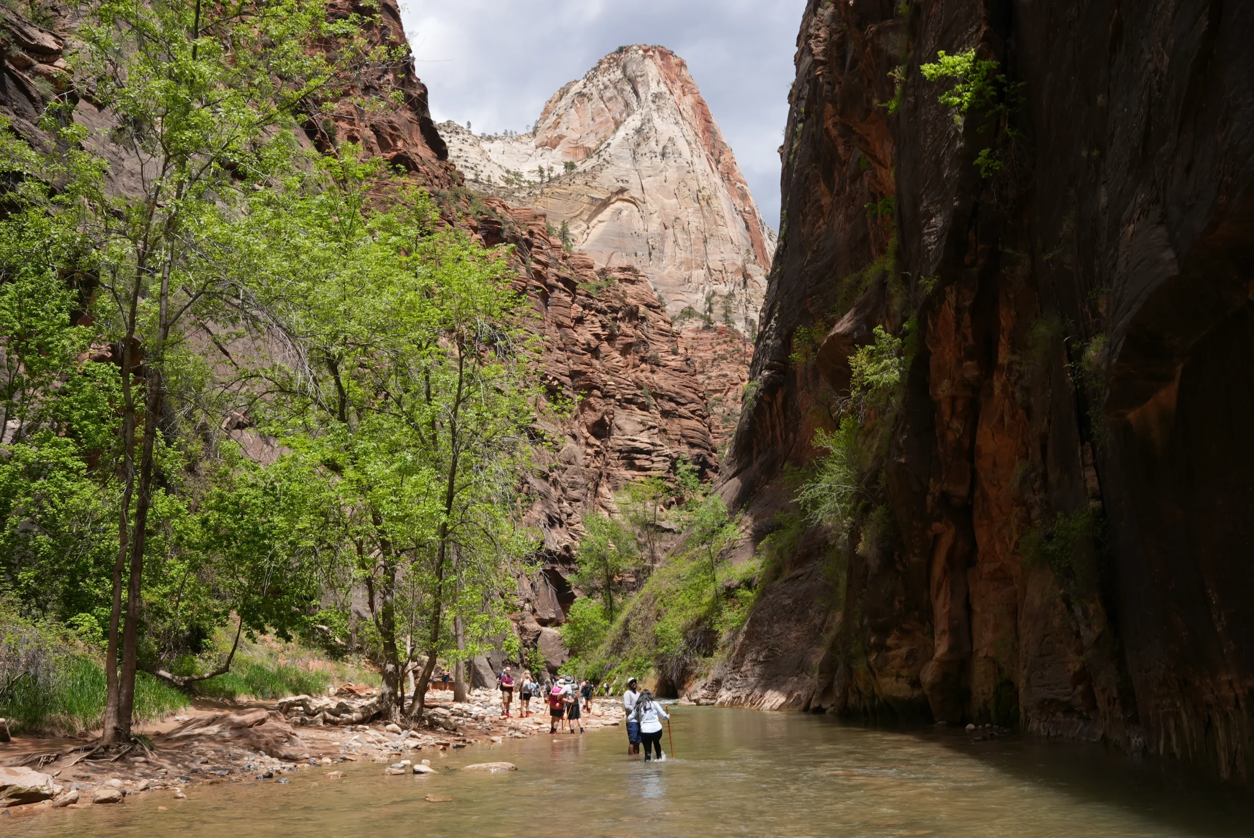 The Narrows, Zion National Park