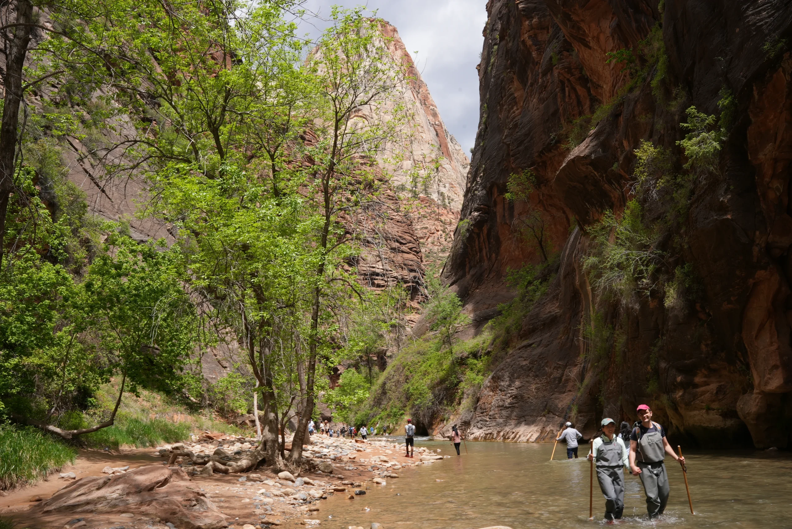 The Narrows, Zion National Park