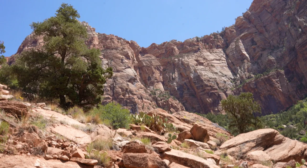 Watchman Trail, Zion National Park