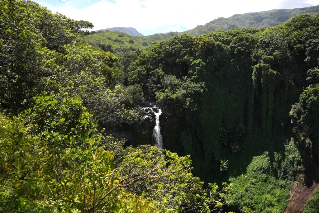 Waimoku Falls, Maui