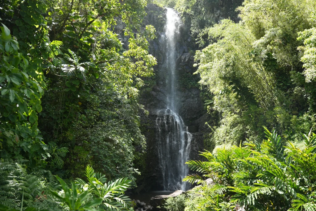 Wailua Falls, Road To Hana