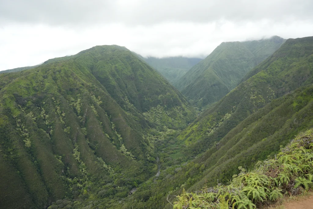 Waihee Ridge Trail, Maui