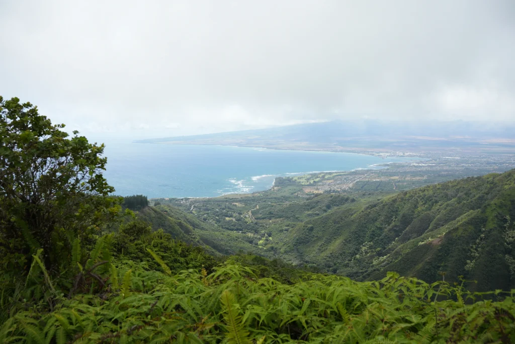 View from the Waihee Ridge hike
