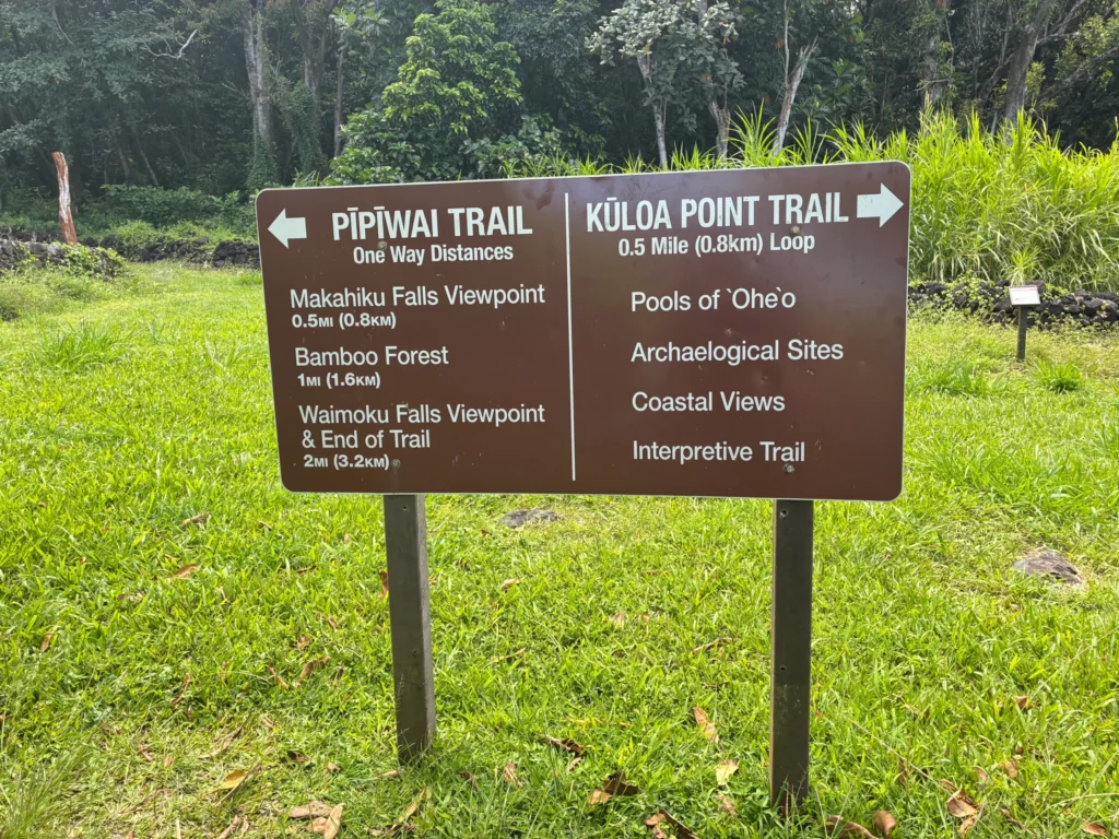 Pipiwai and Kuloa Point Trail