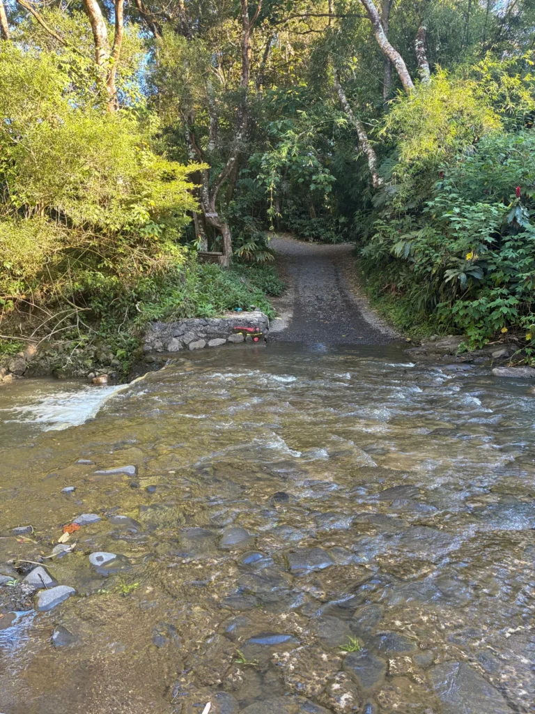 Twin Falls Hike, Maui