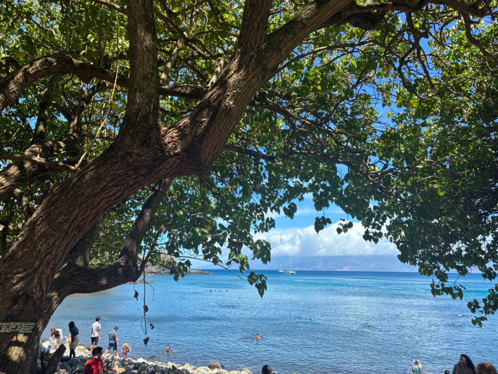 Honolua Bay, West Maui