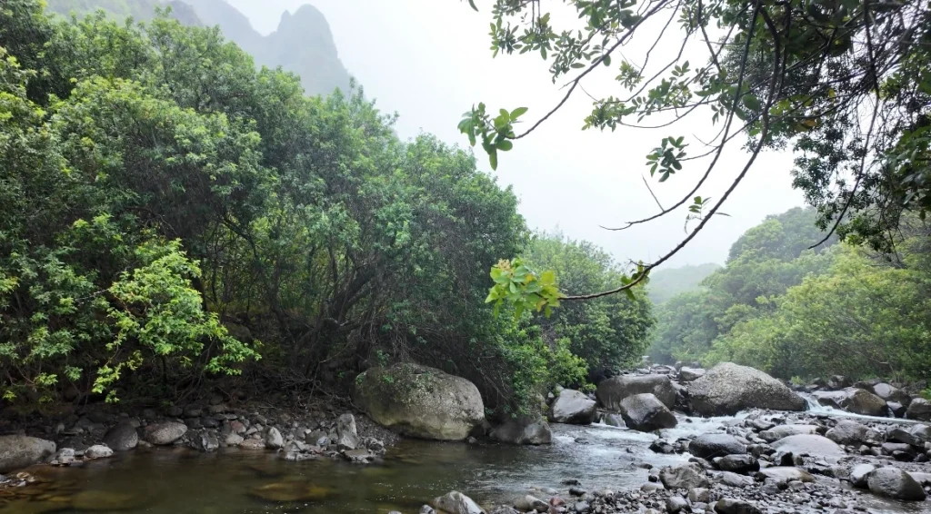 Iao Valley State Monument, Maui